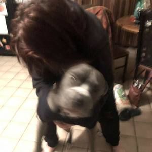 Meet your Posher, Nadine